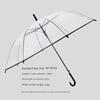 2026 New Model Transparent Umbrella, Fully Automatic, Compact and Portable, Stylish for Girls, Suitable for Car Use and Students Going To School