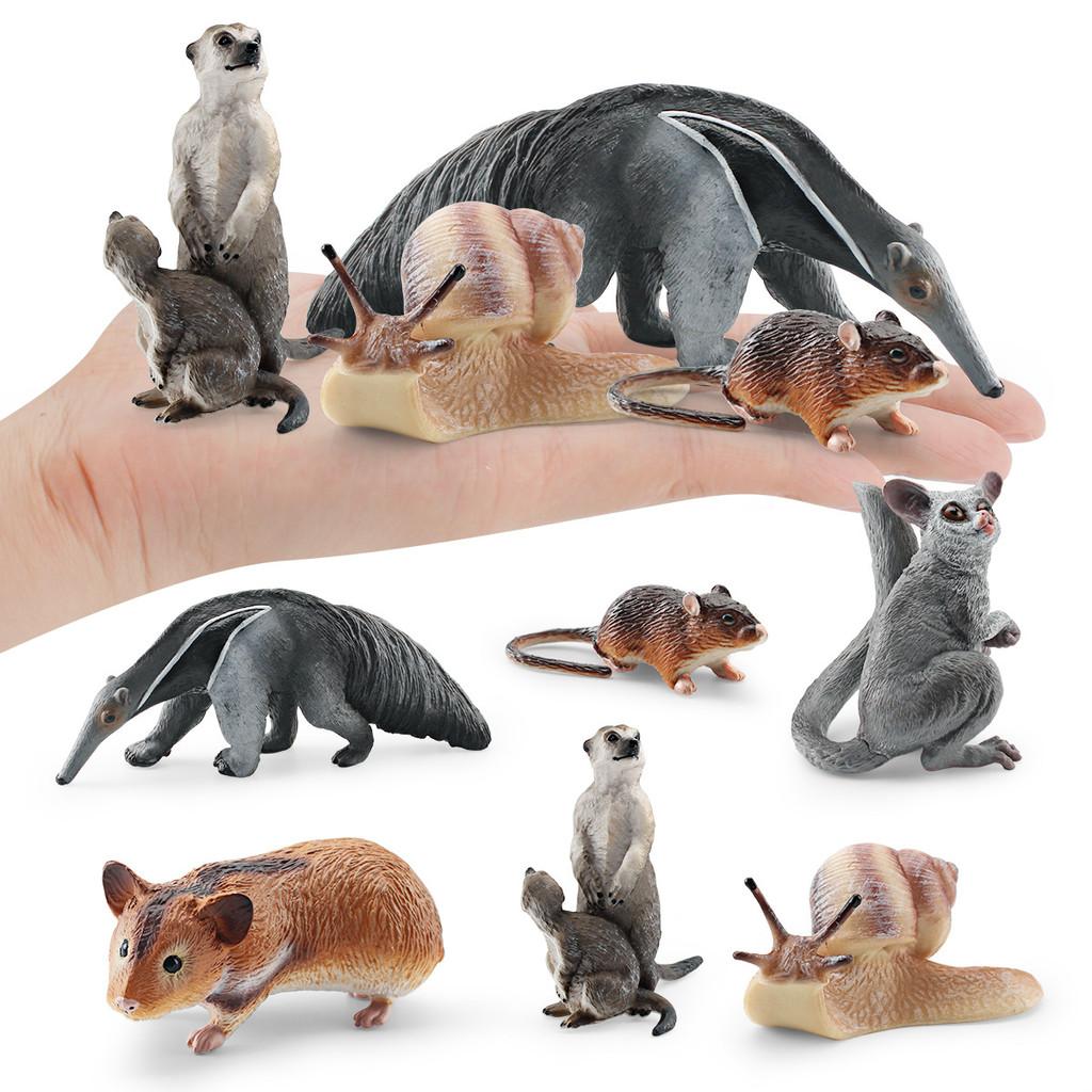 Kinder PVC Hamster Schnecke Gleitbeutler Tier Modell Display Für Bildung Und Sammlung