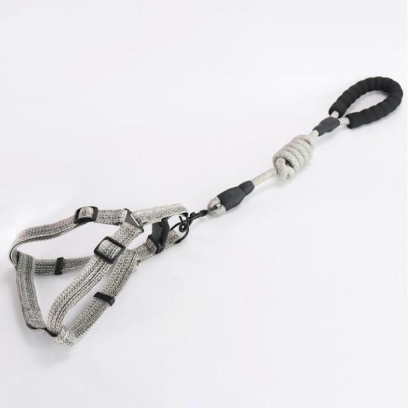 Fashion Pet Dog 120cm Small Medium Harness Chest Strap Collar Leash Traction Rope