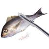 1Pc Stainless Steel Fish Scale Remover Cleaner Scaler Scrapers & Kitchen Peelers