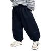 Kids' Spring & Autumn Casual Long Pants - Boys' Fashion Sportswear