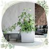 Urbi Case T DUC600T Tall Flowerpot with Insert | Anthracite