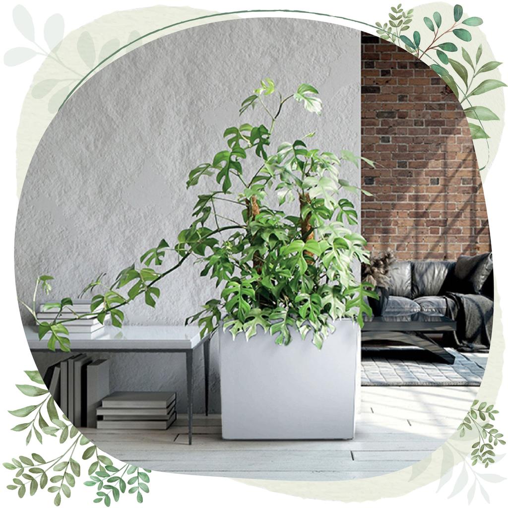 Urbi Case T DUC600T Tall Flowerpot with Insert | Anthracite