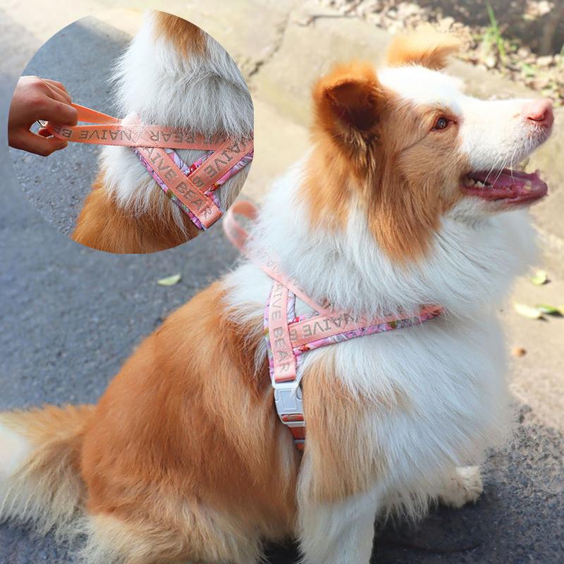 Colorful Floral Printing Padded Harness for Dogs Adjustable No-pull Nylon Pet Walking Training Vest for Small Medium Large Dogs