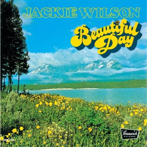 CD JACKIE WILSON  Beautiful Day 3 CDNP1186 BRUNSWICK 2025 Japan Obi SoulFunk