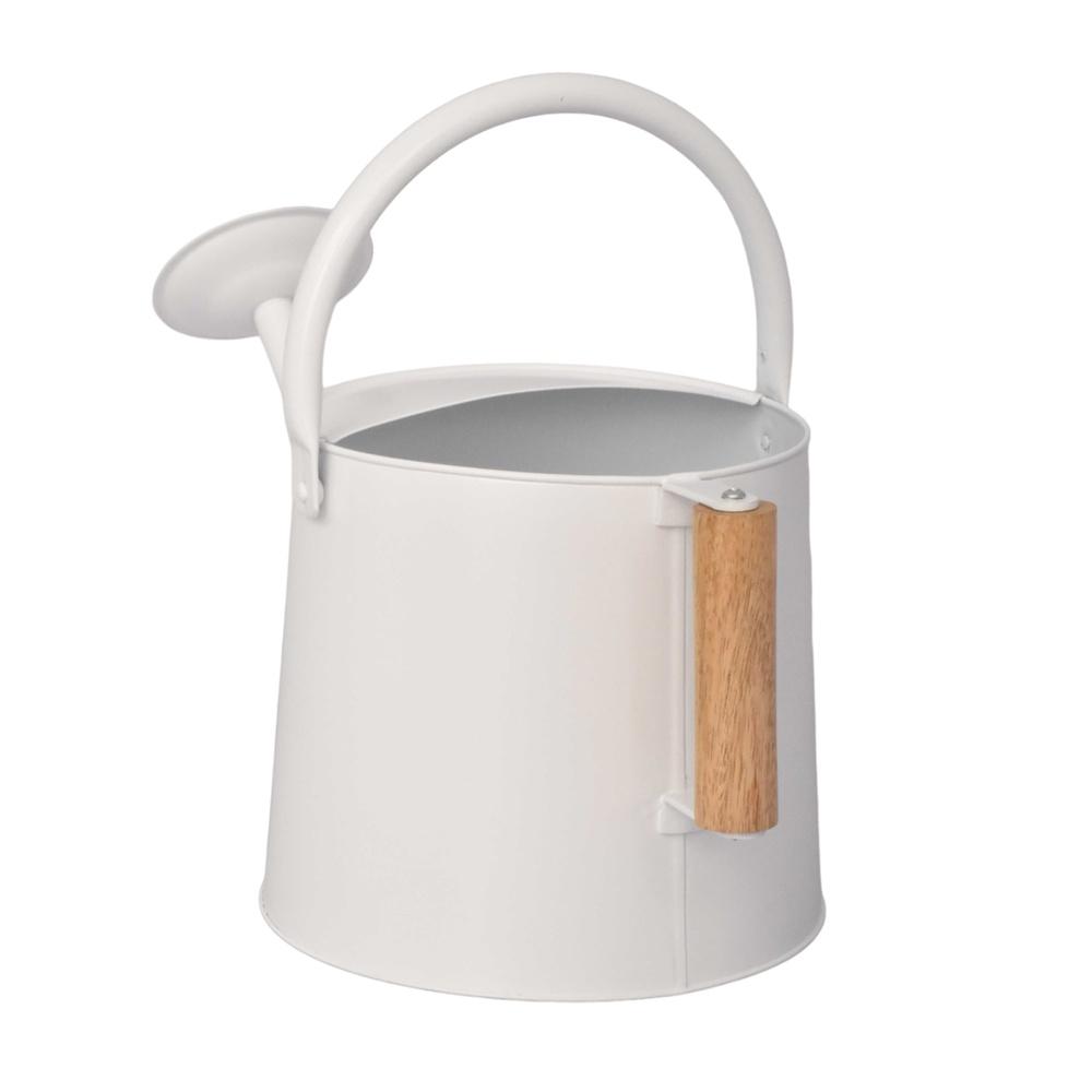 Durable Metal Watering Can Ergonomic Handle Precision Spout Efficient Watering Indoor Outdoor Garden Plant Care 1.5 Gal