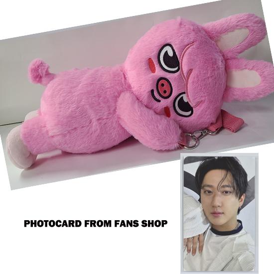 Stray Kids SKZOO Plüschtasche celebrATE ( mit POB von FANS)