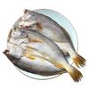 Хуан Сяоюй Вибір морепродуктів Жовтий горбань