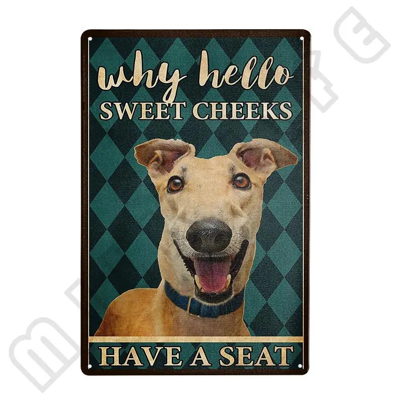 Windhund Metallschild Ich bin dein Freund Ich bin dein Windhund Poster Badezimmerzimmer Küche Garage Zuhause Kunst Wanddekoration