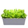 1 Set 24 Cell Hydroponic Soilless Nursery Box Liquid Cultivation Planting Case Seedling Growing Planter Home Vegetables Planter
