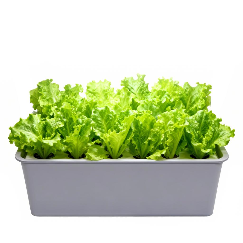 1 Set 24 Cell Hydroponic Soilless Nursery Box Liquid Cultivation Planting Case Seedling Growing Planter Home Vegetables Planter