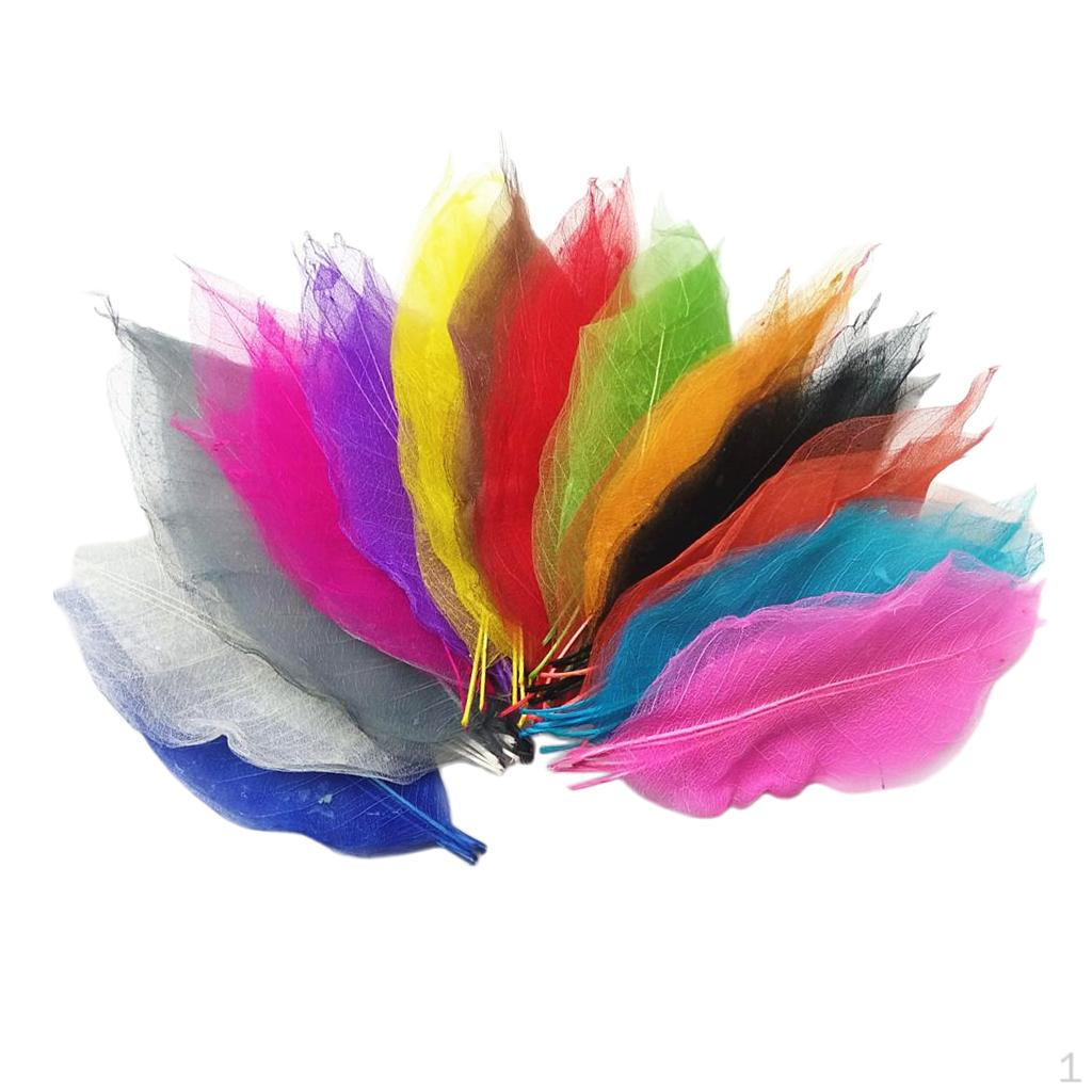 

10 шт. Изготовление открыток своими руками со скелетами из листьев Multicolor