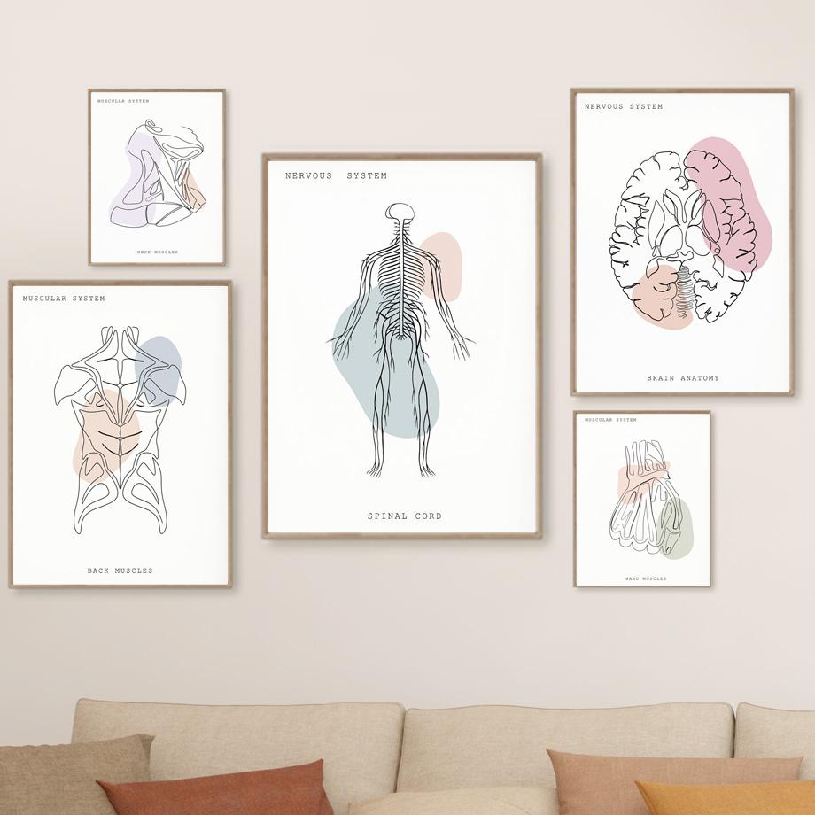 SHINERING Affiche Abstraite En Couleur Avec Équipement Médical