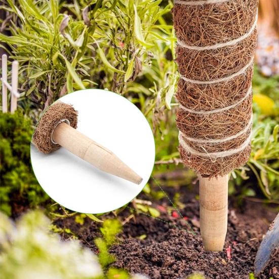 Indoor Climbing Plant Pole Convenient Coir Moss Stick Plant Support for Creepers