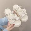 Thick-soled Fairy Wind Cool Slippers Female Year Summer New Wear Ins Trendy Fashion Beach Two Wear Sandals Female