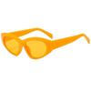 New Fashion Retro Cat Eye Women Sunglasses  Personality Brand Jelly Color Design Simple Casual Men Sun Glasses Uv400