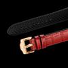 Angel Clover EXVENTURE SOLAR EVS45PRE-RE Wrist Watch
