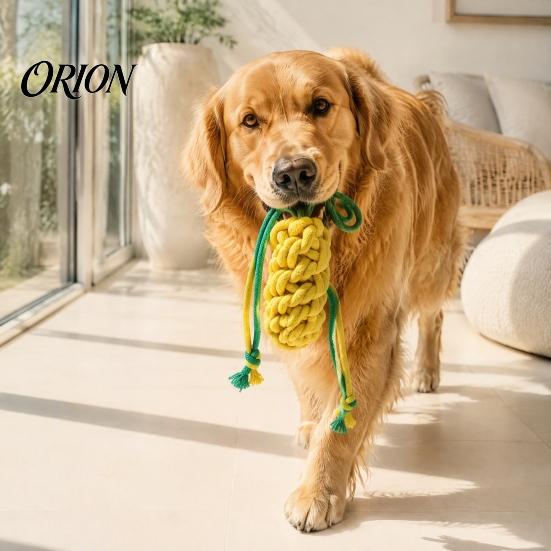 Engaging Sound Toys for Indoor Play Squeaky Cotton Rope Dog Chew Toy Aggressive Chewers, Vegetable Shaped Puppy Teething Pet Boredom Relief