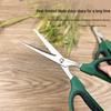 7-inch Stainless Steel Two-Color Pruning Shears for Potted Plants, Bonsai, and Fruit Picking