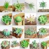 Artificial Flower Succulent Floral Mini Fake Diy Faux Plant Foliage Decor Garden
