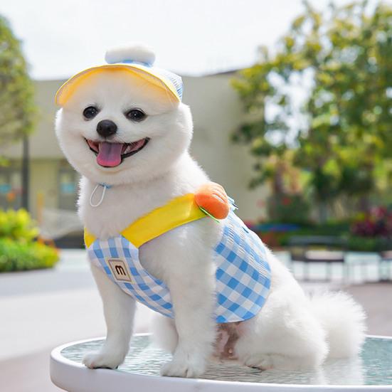 Puppy Summer 3 Piece Outfit Set Adjustable Pet Sun Hat Harness And Leash Set with Cartoon Plush Decor for Cats And Small Medium Dogs