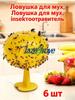 Flytrap 6 Pieces Fly Trap Insect Repellent