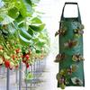 Three-piece Premium Hanging Strawberry Planting Bag - 8-hole Design for A Variety of Vegetables - Space-saving Vertical Planting Bag