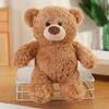 Soft Brown Bear Plush Toy Cartoon Bear Stuffed Dolls Animal Bear Plush Doll  Kids Holiday Gifts