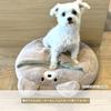 Pet Heater Bed with USB Heating Pet Bed 4 Temperature Removable Timer Pet Heating Carpet Pet Heater Dog Bed Pet Bed Cushion Winter Cold Protection MCA
