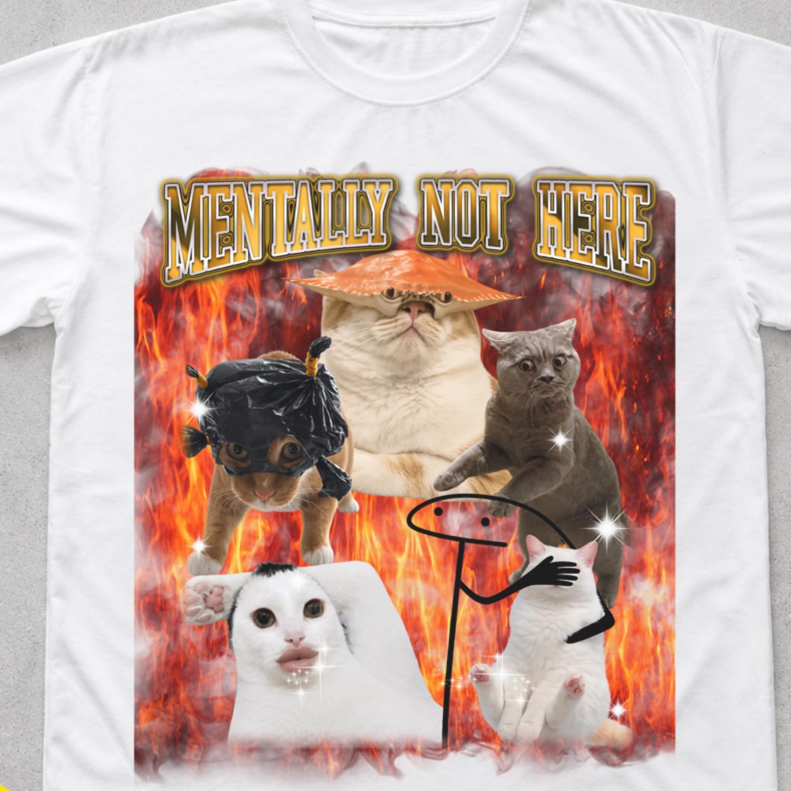 Mentally Not Here Cat Shirt, Funny Introvert Meme Tee, Social Battery Cat Gift for Cat Lover 2XL