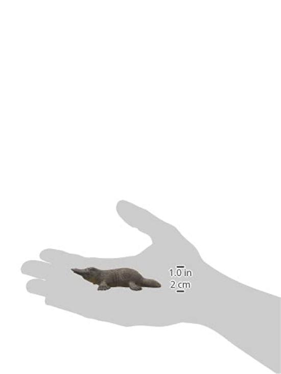 Schleich Wildlife Platypus Figure 14840
