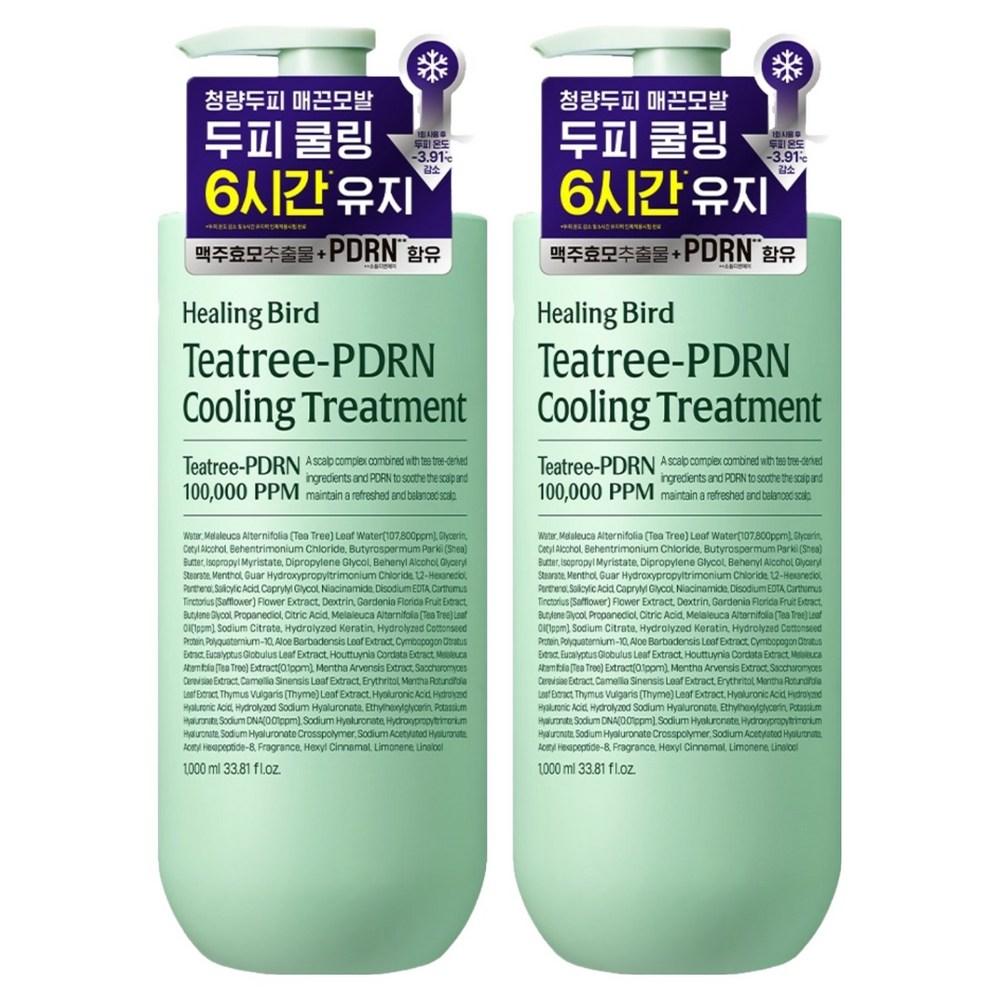 PDRN-Free Healing Bird Tea Tree Silicone Cooling Hair Loss Treatment 2 Pcs 1L