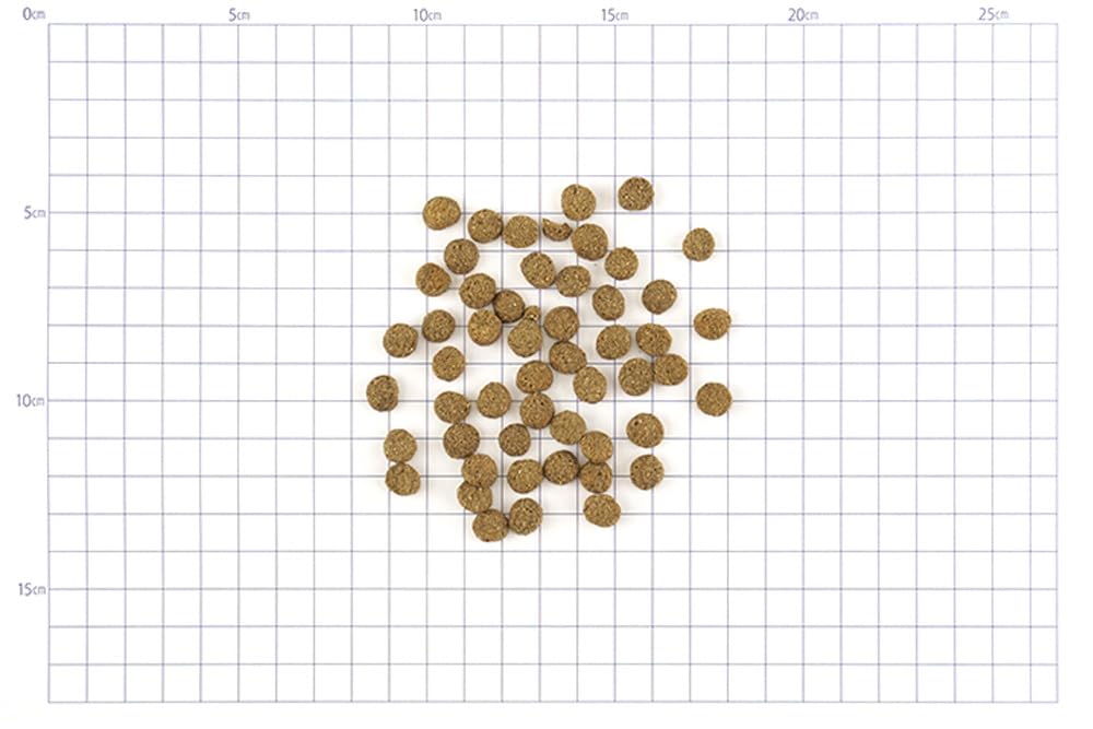 Natural Harvest Regime Small Lamb 1.1kg (2 bags) [Free Dog-Friendly Original Imabari Hand Towel] [Towel Color: Mocha]