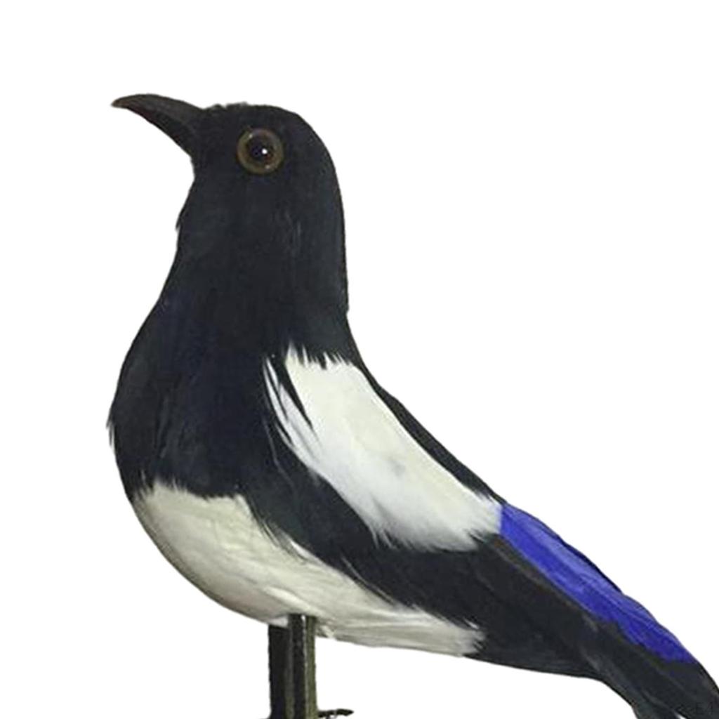 - Simulation Birds, Feathered Bird Models, Crafts, Figurines, Statues, Garden Decorations, for