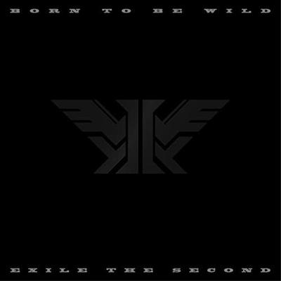 CD  - BORN TO BE WILD(DVD tsuki)(Smapla T RZCD86291B Japan ObiJapanese Pop/Rock Used