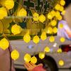 LED String Lights with Colorful Fruit and Lobster Designs, Battery/USB Powered.