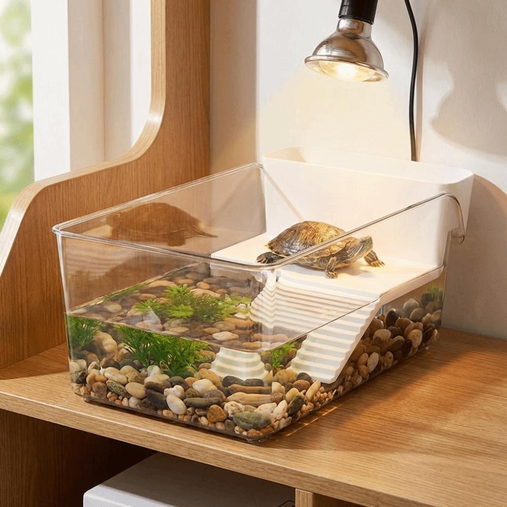 Dry Wet Separation Turtle Tank Basking Area Crab Tank Turtle Breeding Box  for Betta Shrimp