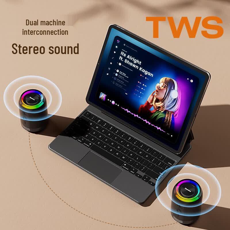 Newmine PBS015 Dual Tragbarer Bluetooth-Lautsprecher (CN-Version)