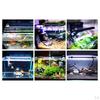 240V Aquariums Fish Tank LED clip Plug