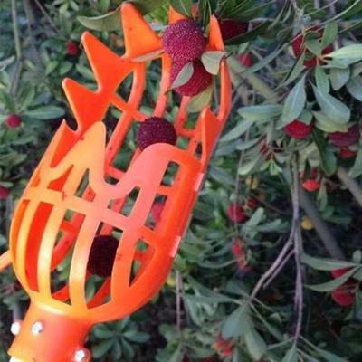 1/2pcs Fruit Picker Garden Hand Tool Plastic Catcher Picking Apple Bayberry Citrus Pear Peach Hand Tools Agriculture Accessories