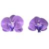 Phalaenopsis Simulation Flower Companion Gift 3D Printing Film High Quality Flower Head Decoration Sweet Headdress Shooting Props Fake Flowers
