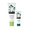 ROUND LAB Pine Tree Calming Cica Mineral Sunscreen 40ml (+Pine Tree Cleanser 10ml)