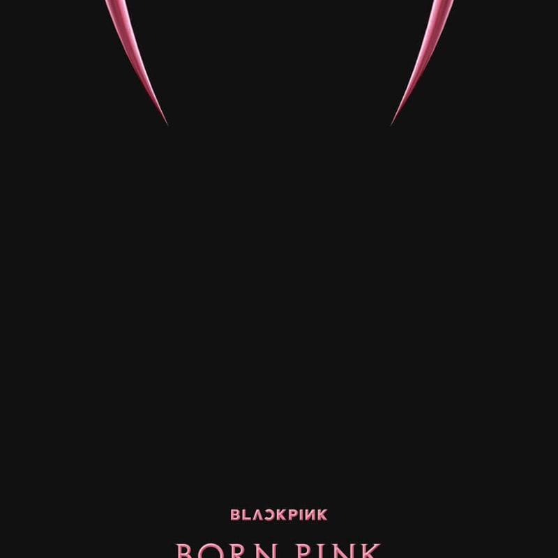 BLACKPINK - BLACKPINK 2nd ALBUM [BORN PINK] BOX SET [PINK ver.]