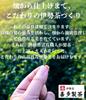 Kita Seicha Ise Tea Green Tea Bag 3g×30 pcs Japanese Water Brew Hot Brew