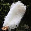 10 ks Pštrosí Peří Bílé Peří Svatba Dekorace Karneval Řemesla DIY Řemesla Peří pro Domácí Dekor