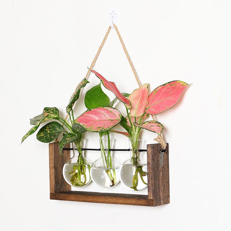 Wall-Mounted Hydroponic Glass Vase with Wooden Stand for Water Plants and Flower Display