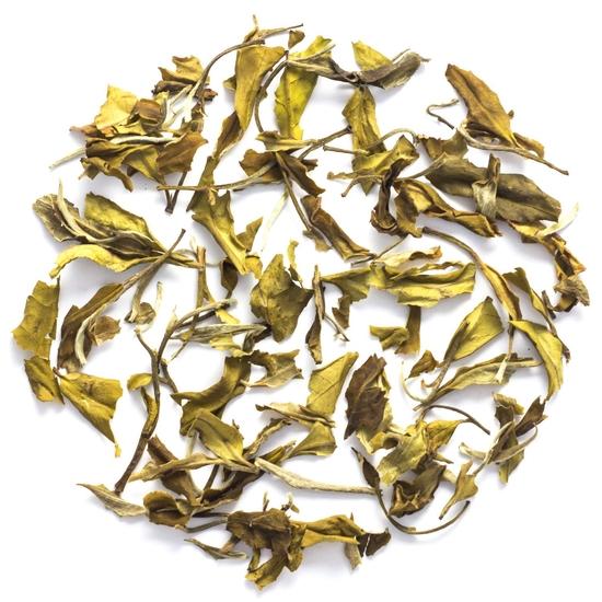 Makaibari Bai Mu Dan White Tea ( Pai Mu Tan or White Peony ) 20 Pyramid Tea Bags | 100 % Pure Single Estate | Makaibari | White Tea