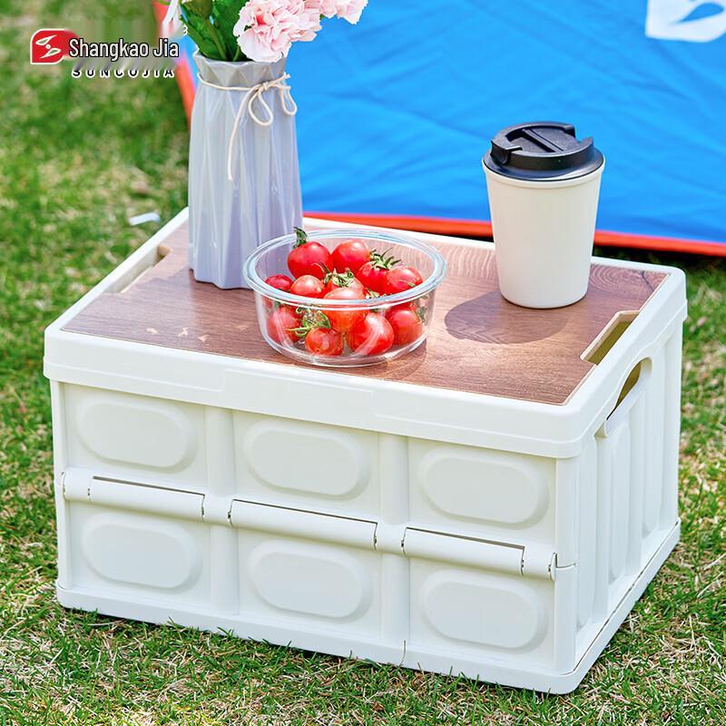 Suncojia 52L Lightweight Picnic Storage Box