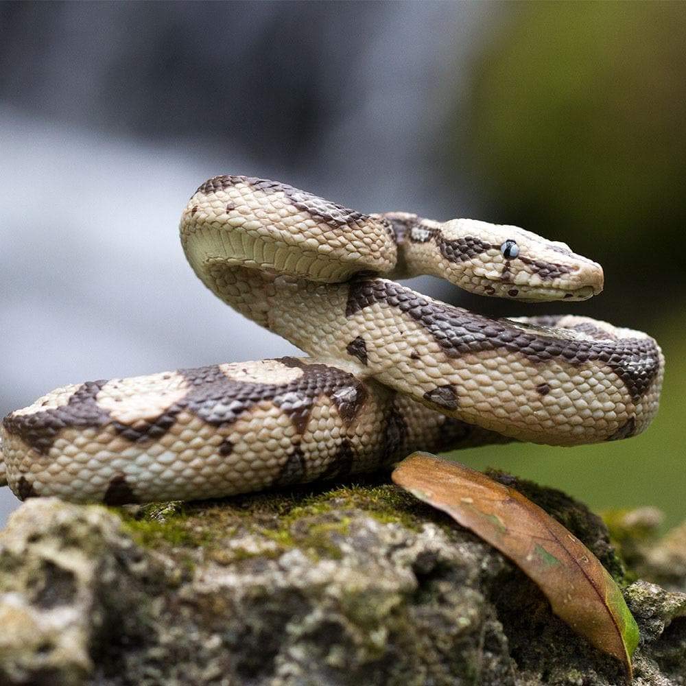 Safari Boa Constrictor Snake Figure Scale Model 266529 1/4