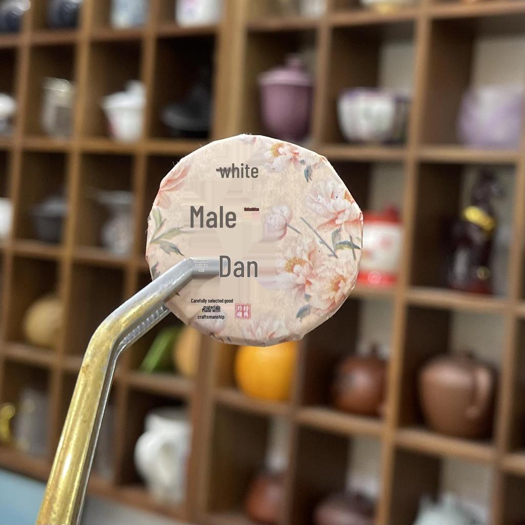 Assorted Mini Tea Cakes: 40 Varieties of Yunnan Pu-erh, Ripe, Glutinous Aroma, White, and Black Tea